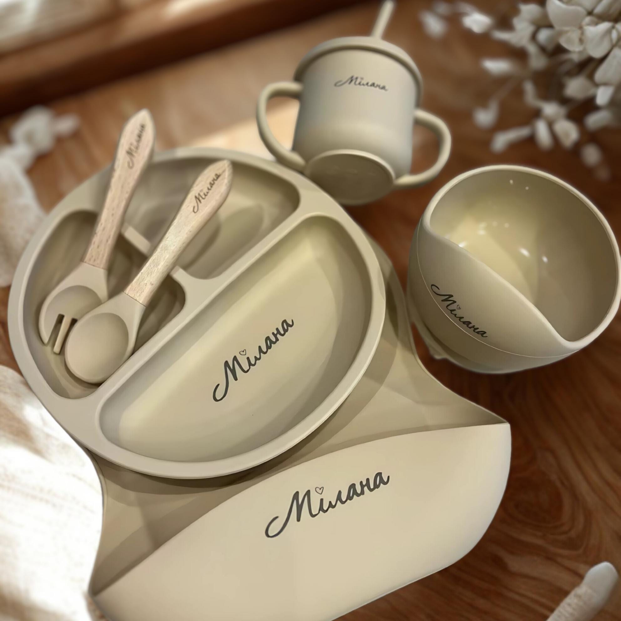 Set silicone Baby Feeding 6pcs